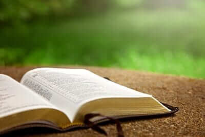 We Weave God’s Precepts and Word Throughout