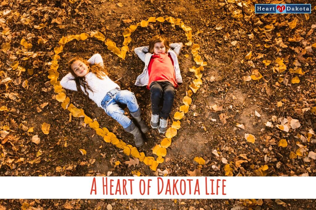 A Heart of Dakota Life - Raising Siblings to be Best Friends