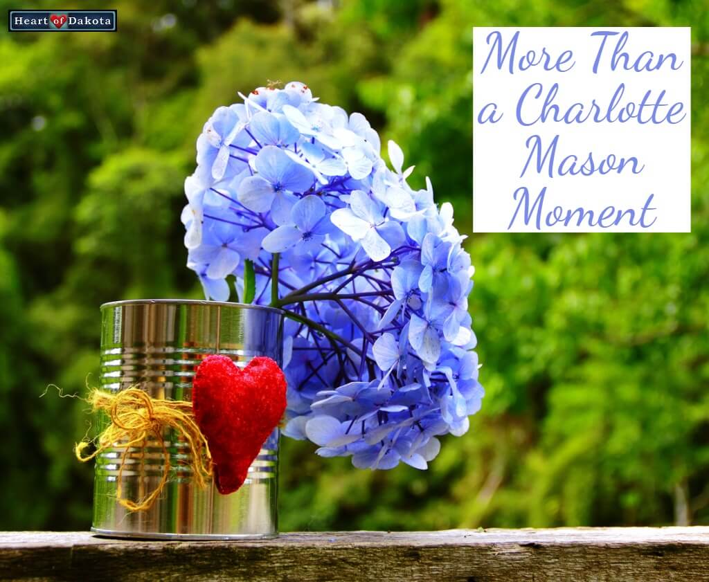 Heart of Dakota More than a Charlotte Mason Moment Art