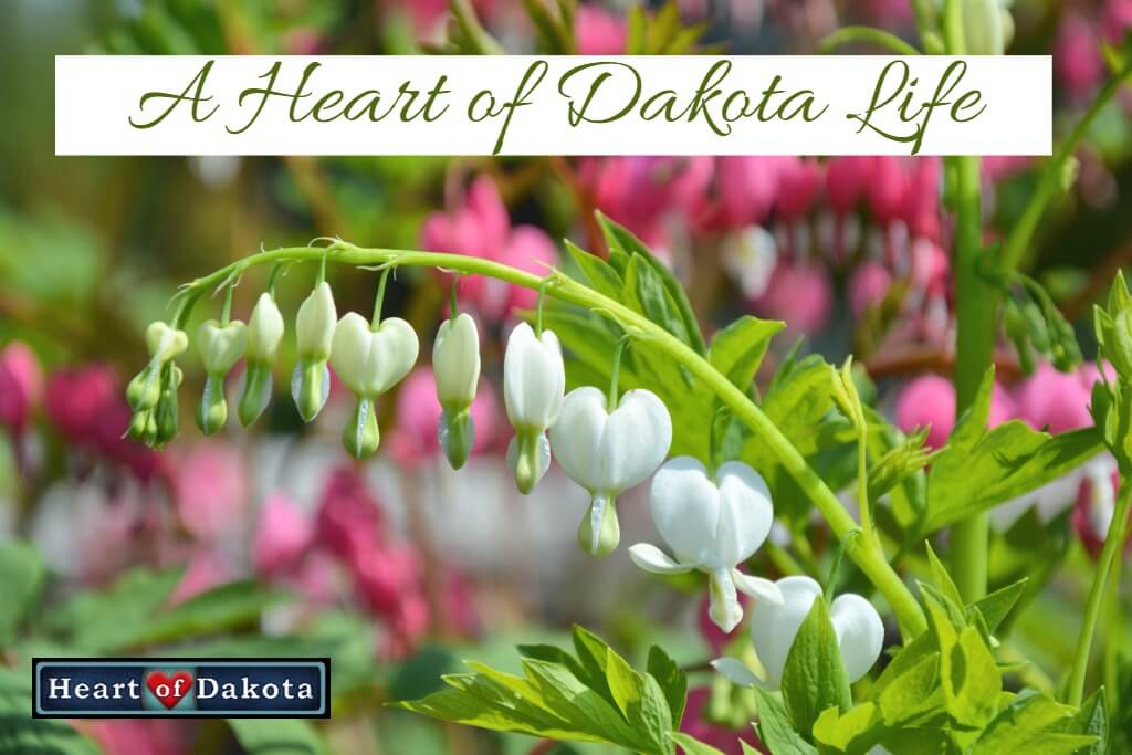A Heart of Dakota Life