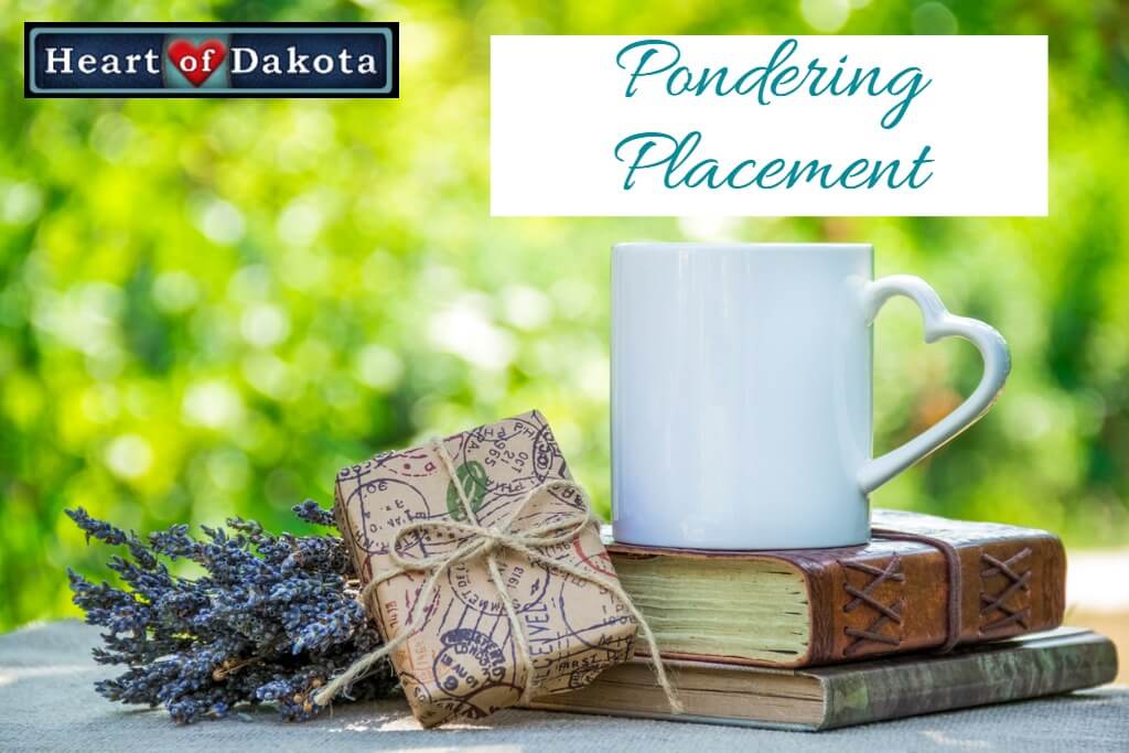 Heart of Dakota - Pondering Placement