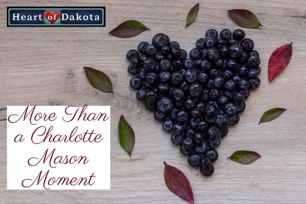 Heart of Dakota - More than a Charlotte Mason