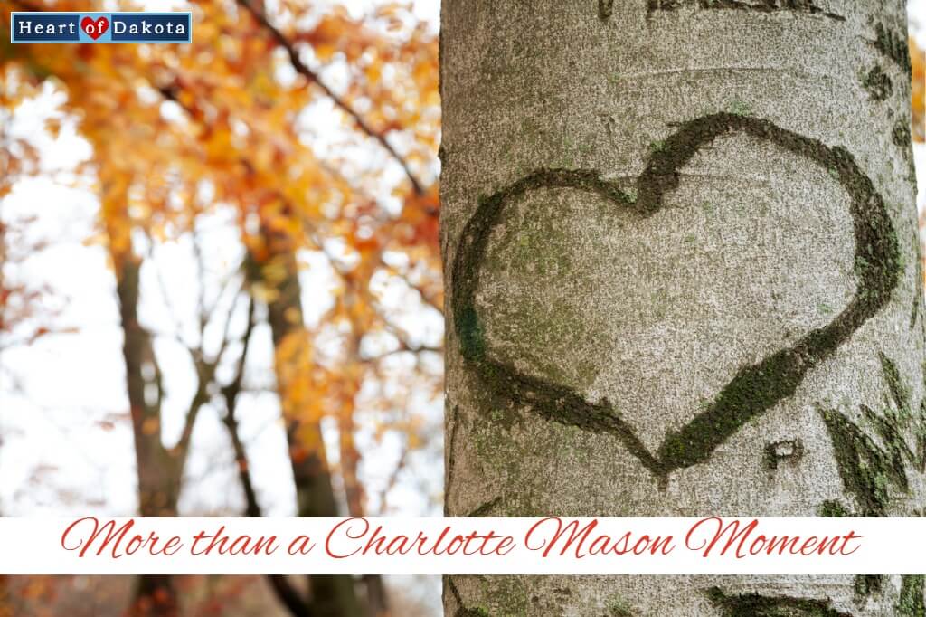 Heart of Dakota - More than a Charlotte Mason Moment - Struggling Speller