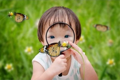 Activities for All Types of Learners Are Included Activities for All Types of Learners Are Included